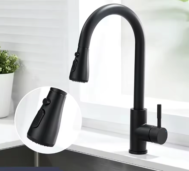 Kitchen Faucets ( Pull out )